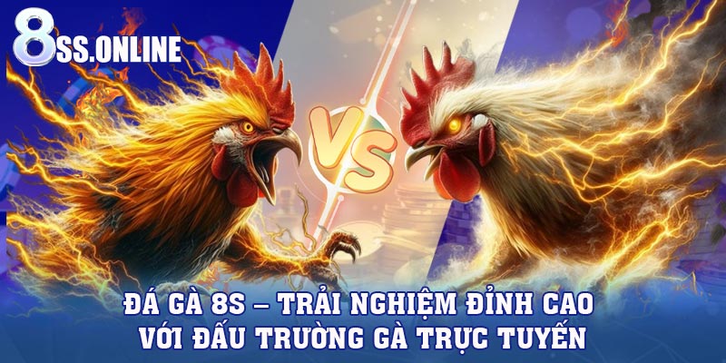 Đá Gà 8S – Trải Nghiệm Đỉnh Cao Với Đấu Trường Gà Trực Tuyến